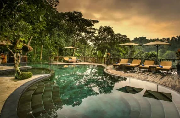 Nandini Jungle by Hanging Gardens pool