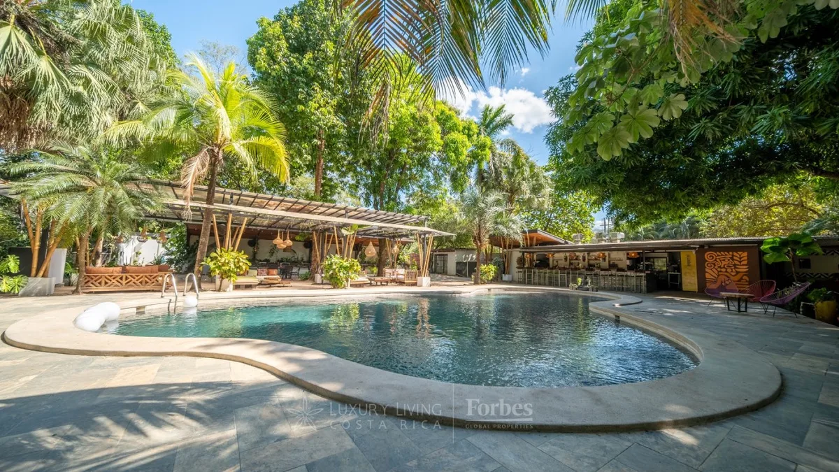 Curiol Boutique Hotel & Lounge pool